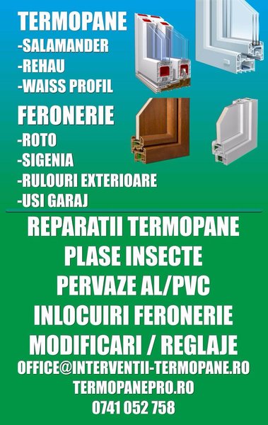 Reparatii termopane